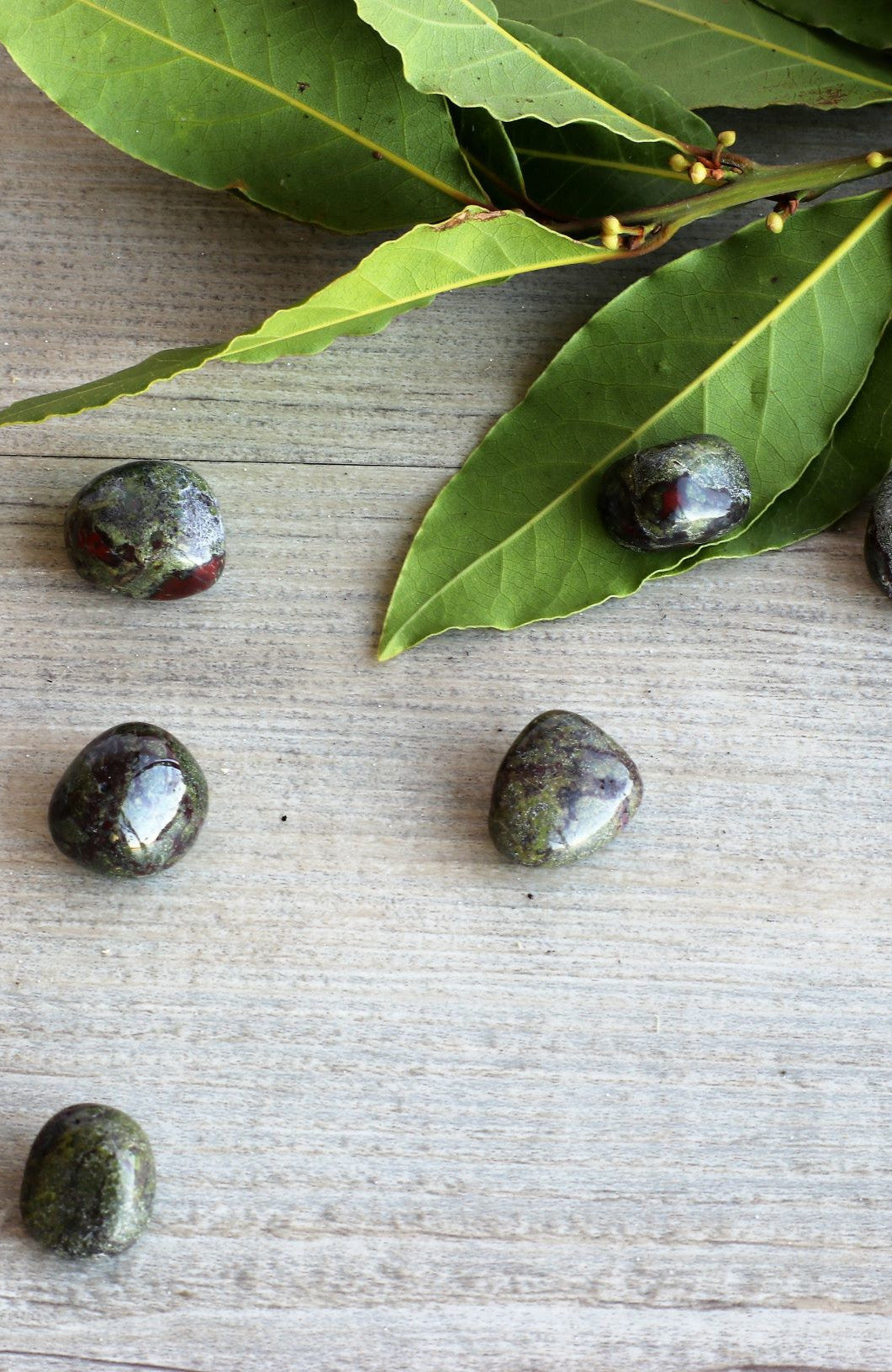 Dragon Blood Jasper Tumbled Stone
